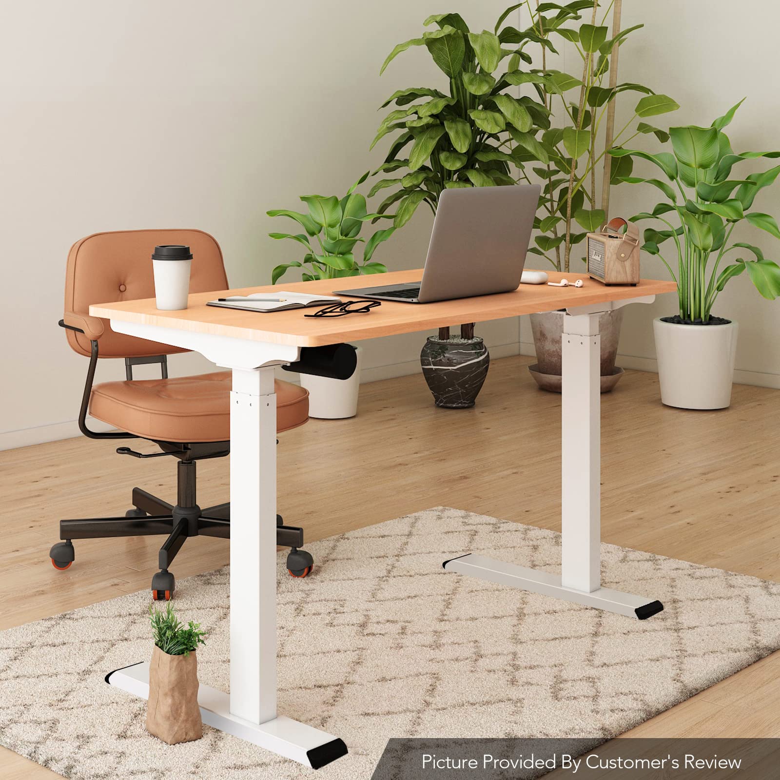 Flexispot Height Adjustable Electric Standing Desk 48 X 30 Inches Whole-Piece Desk Stand Up Home Office Desk (White Frame + 48' Maple Top, 2 Packages)