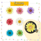 Nuanchu 84 Pcs Dried Pressed Flowers Real Pressed Dried Flowers Dried Daisy Flowers Multiple Colorful Resin Dried Flowers For Cr