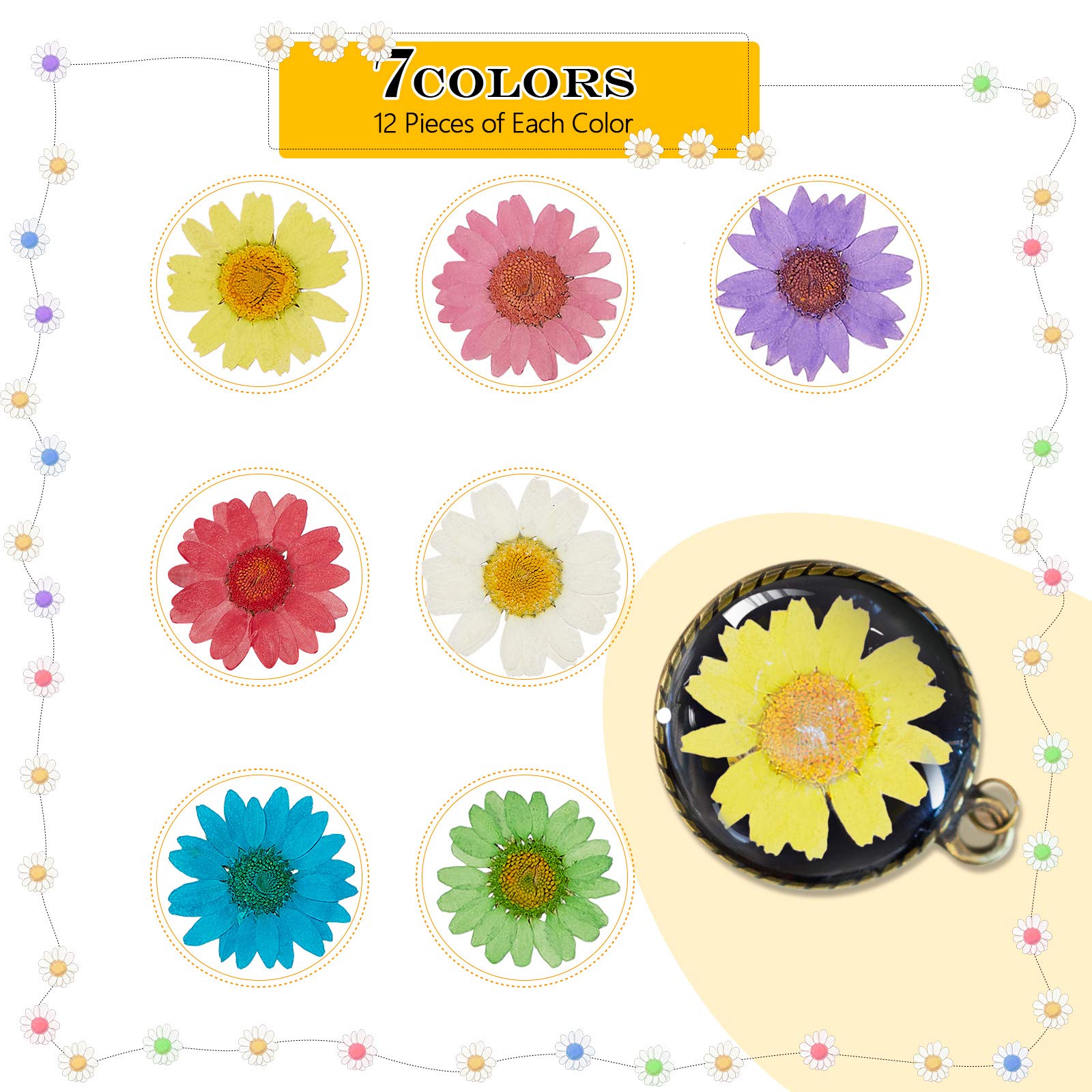 Nuanchu 84 Pcs Dried Pressed Flowers Real Pressed Dried Flowers Dried Daisy Flowers Multiple Colorful Resin Dried Flowers For Cr