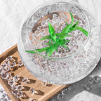 Domestar 550Pcs Clear Vase Fillers, Acrylic Fake Crushed Ice Rocks Fish Tank Vase Centerpiece Party Table Scatter Props Display