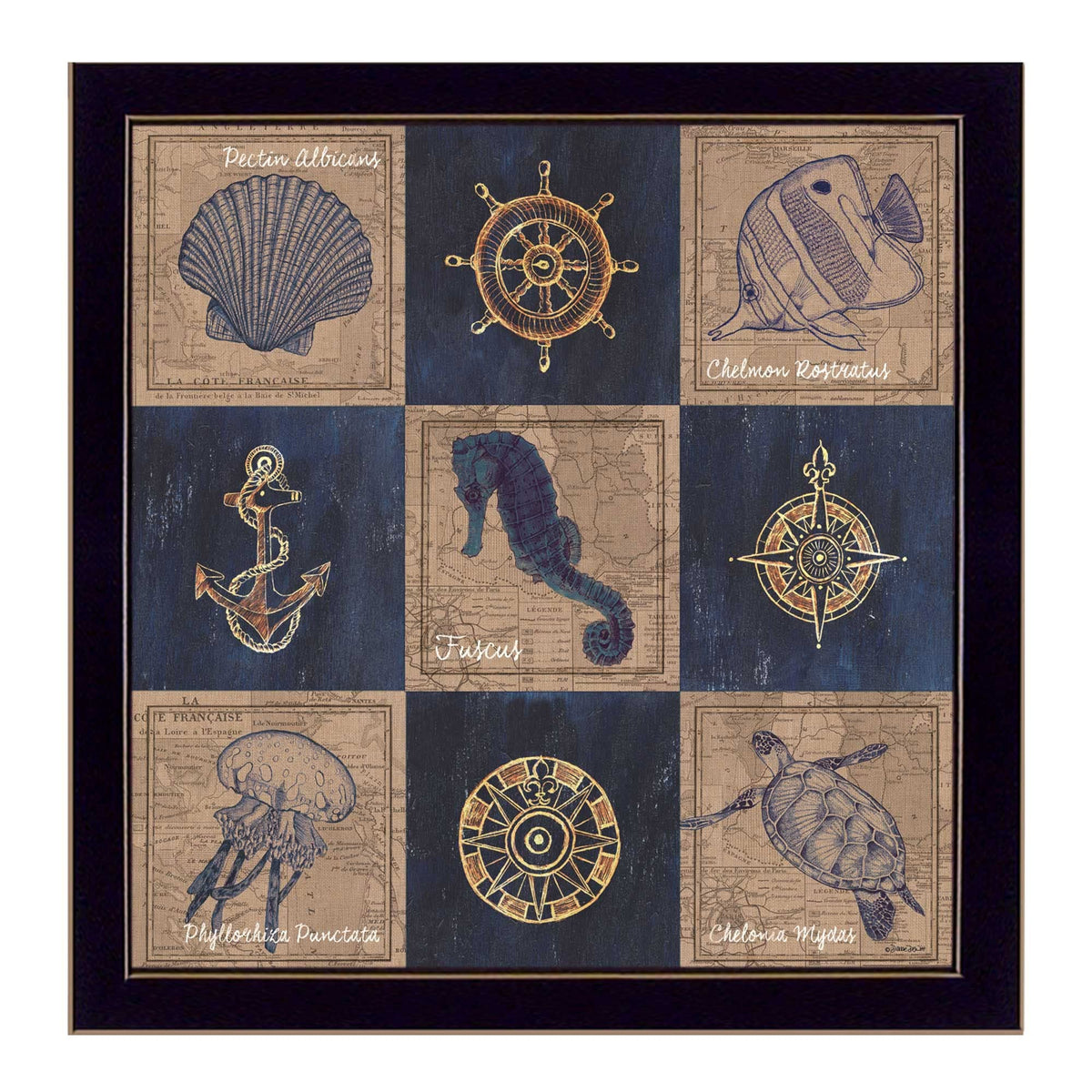 Coastal Collage II Black Framed Print Wall Art