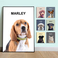 TEXTURE OF DREAMS Custom Pet Portrait Canvas Wall Art with your photo and Pet Lovely Name for Home D  cor, Personalized Framed D
