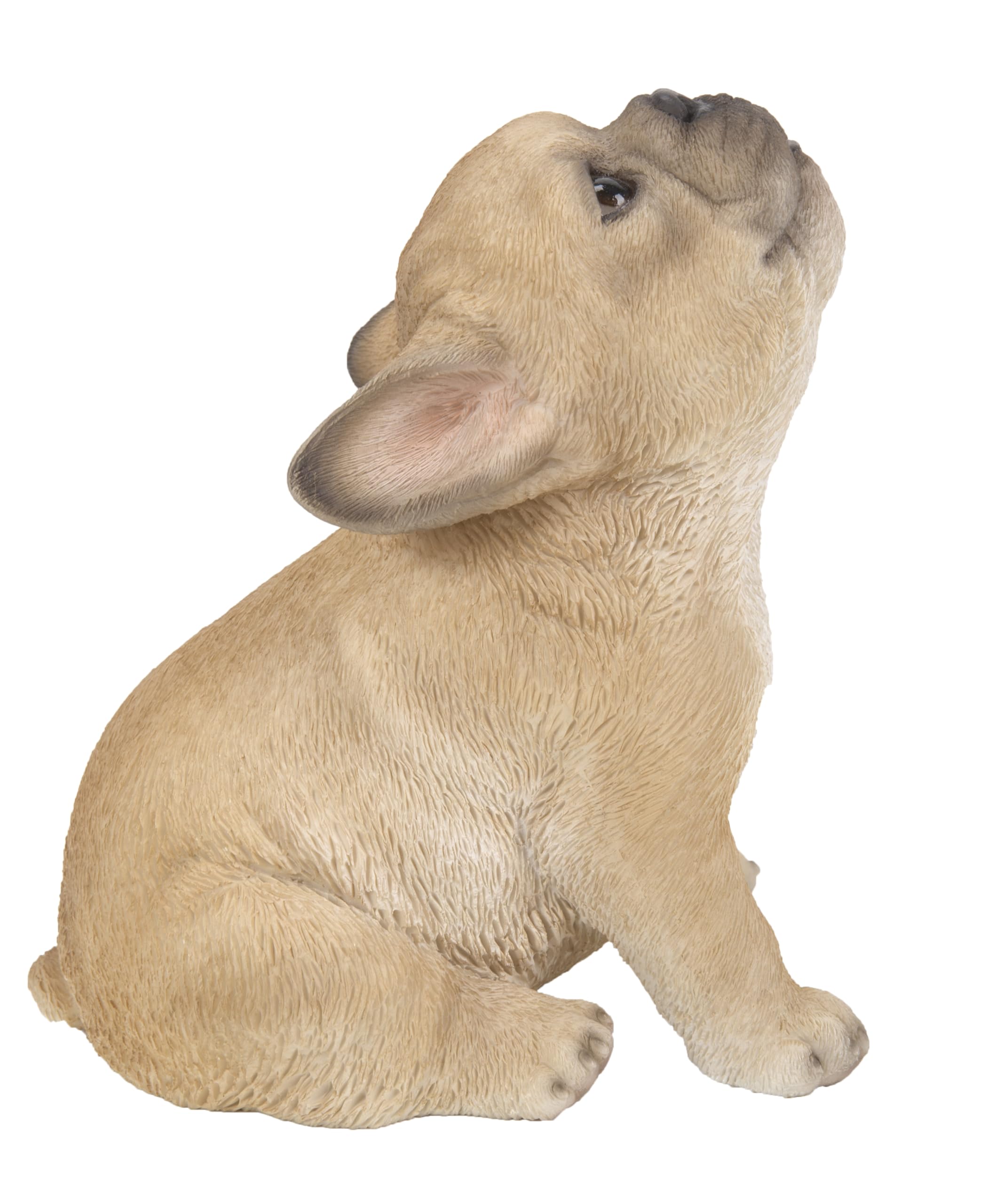 Hi-Line Gift Ltd. French Bulldog Puppy Howling