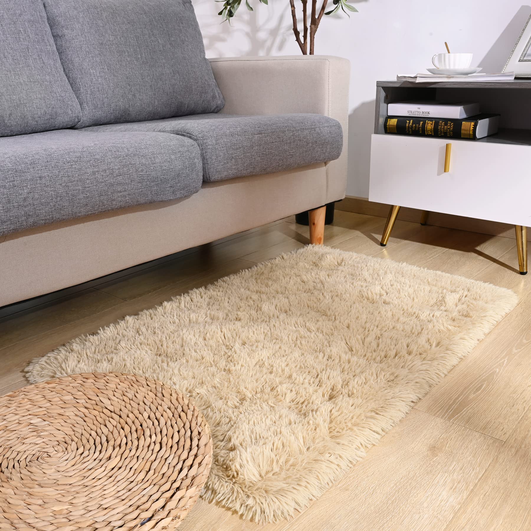 DETUM 2X3 Rug Small Beige Rug Light Tan Fluffy Rugs for Bedroom Kicthen Entryway Hallyway Washable Area Rug Super Soft Throw Rug