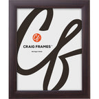 Craig Frames Contemporary, 26x28 Picture Frame, Brazilian Walnut
