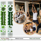 Trumiri Incense Sticks - Combo Pack Of 40 Insence-Sticks - 20 Citronella + 20 Lemongrass - Insenses - Insents - Incents - Inscen