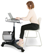 Aidata Ergonomic Sit-Stand Mobile Laptop Cart Work Station with Printer Shelf, Black, LPD009P