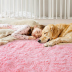 Kchowua 4X6 Pink Thick Fluffy Shag Rugs For Bedroom Girls,Machine Washable Soft Shaggy Fuzzy Throw Cute Small Area Rug For Livin