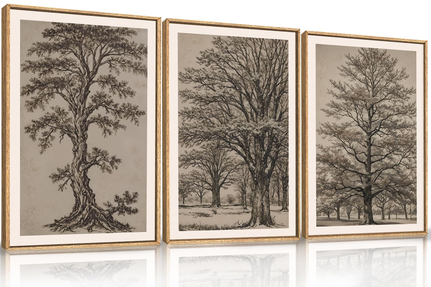 HOURIA Vintage Tree Sketch Framed Canvas Wall Art Set,Natural Dark Botanical Wall Decor,Retro Tree Drawings Wall Painting,Nature