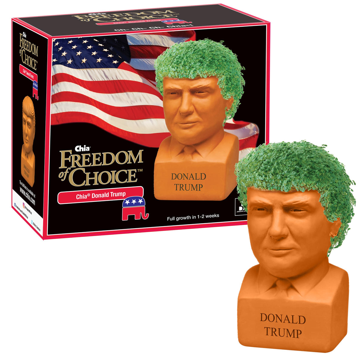 Chia Pet Donald Trump With Chia Seed Pack - Freedom Of Choice - Decorative Presidential Pottery Planter, Easy To Do And Fun To G