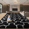 EVOIONOS Black White Area Rugs for Living Room, 5x7 Feet Fluffy Geometric Rug for Bedroom, Plush Shaggy Soft Indoor Floor Carpet