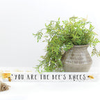 Simply Said, Inc Talking Sticks 16'' X 1.5'' Wood Sign Tlk1412 - You Are The Bee'S Knees