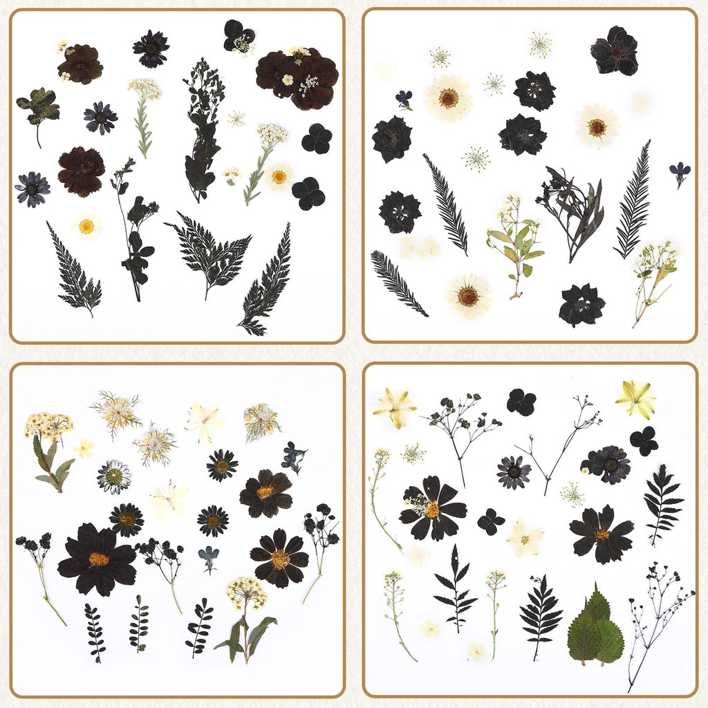 Augshy Black Dried Pressed Flowers, 120 Pcs Halloween Dried Flowers For Resin Molds Real Pressed Flowers For Crafts Diy Jewelry