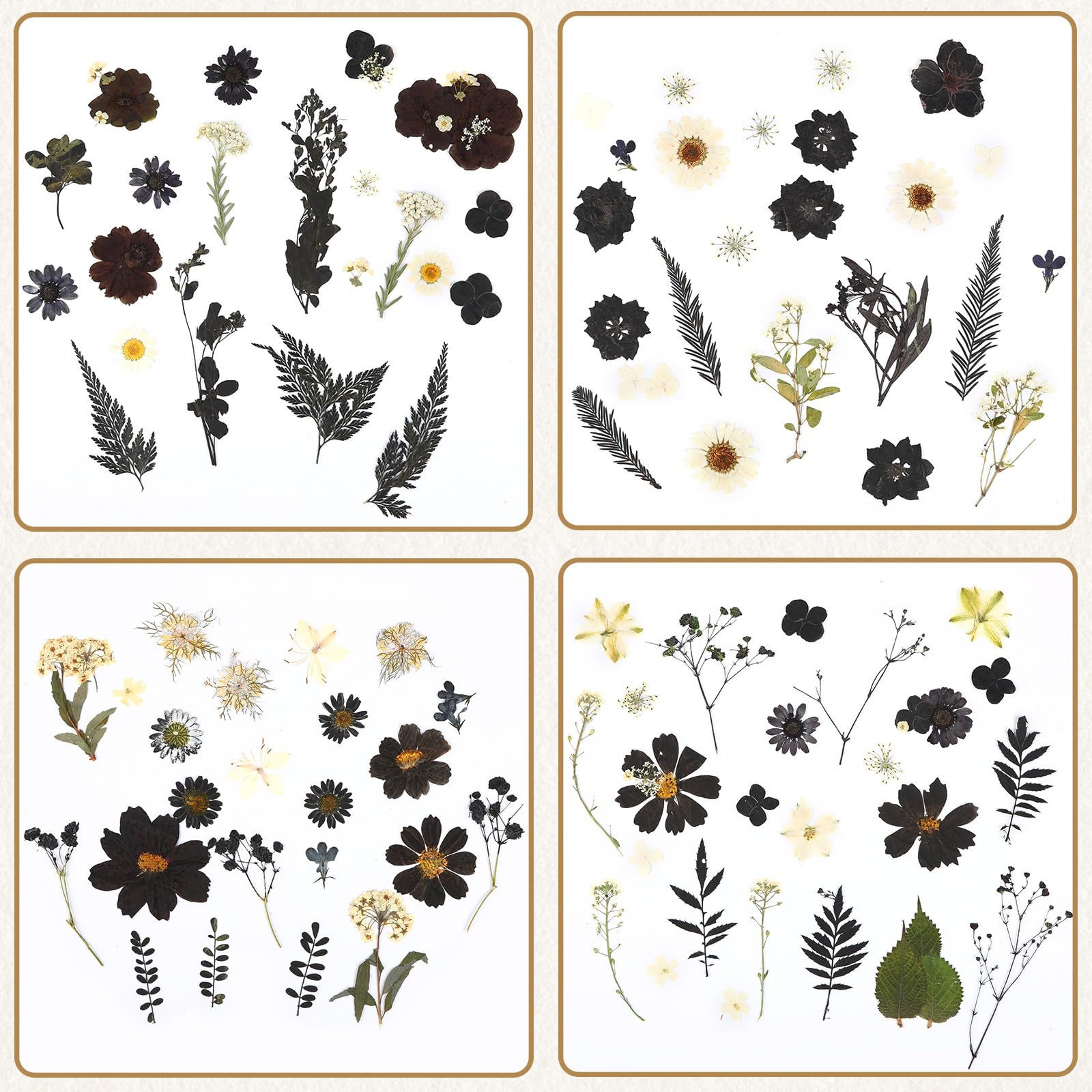 Augshy Black Dried Pressed Flowers, 120 Pcs Halloween Dried Flowers For Resin Molds Real Pressed Flowers For Crafts Diy Jewelry