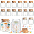 Patelai 24 Pack Small Glass Jars with Cork Stoppers Mini Potion Bottles Clear Empty Glass Bottles for DIY Art Crafts Message Dec