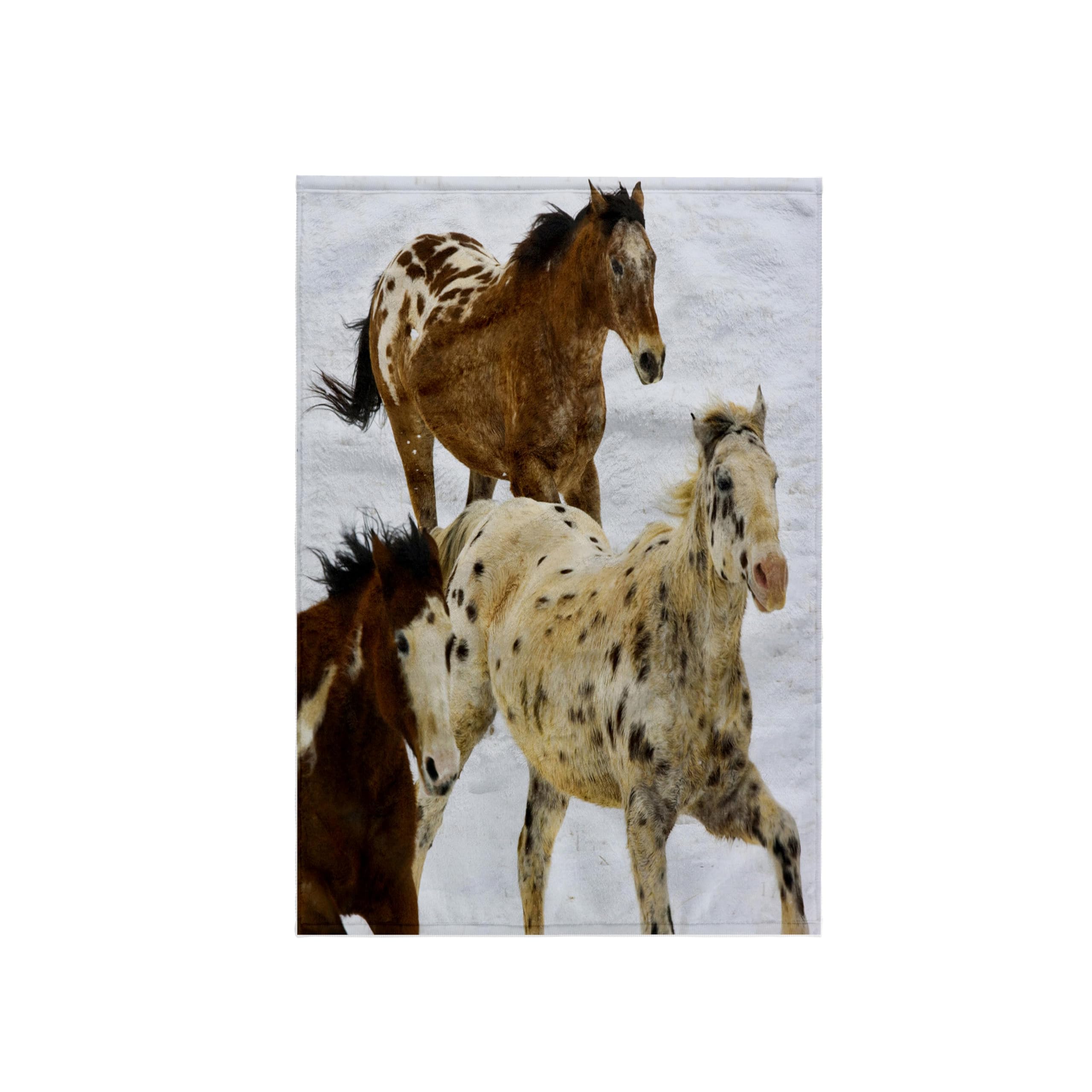 3D Rose TWL_149067_1 Towel, 15 x 22