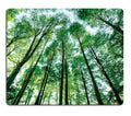 Landscapes Green Trees Mouse Pad,Trees Nature Green Wood Personalized Design Non-Slip Rubber Mousepad