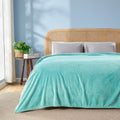 Newcosplay Super Soft Queen Blanket Turquoise Premium Silky Flannel Fleece Leaves Pattern Lightweight Bed Blanket All Season Use