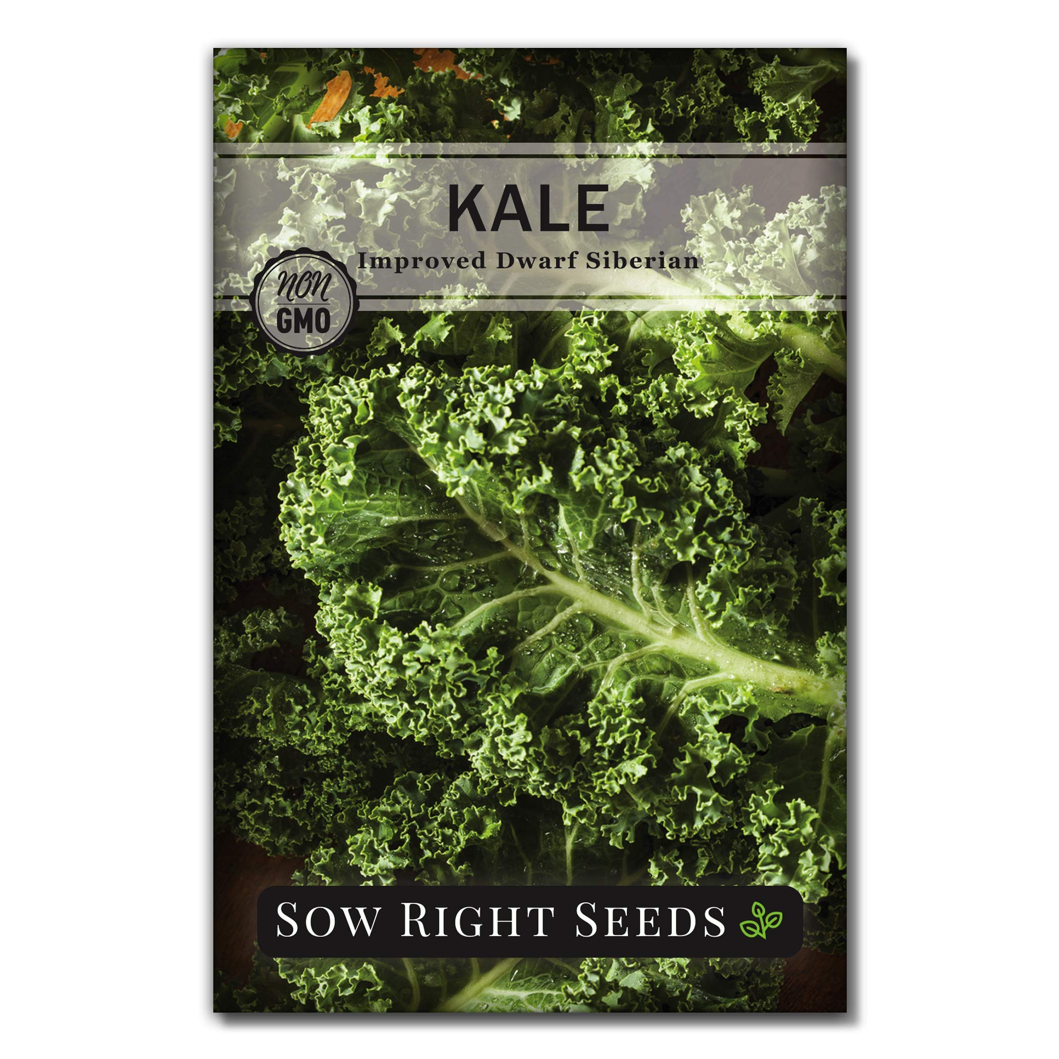 Sow Right Seeds - Dwarf Siberian Improved Kale Seed For Planting - Non-Gmo Heirloom Packet With Instructions To Plant A Home Veg