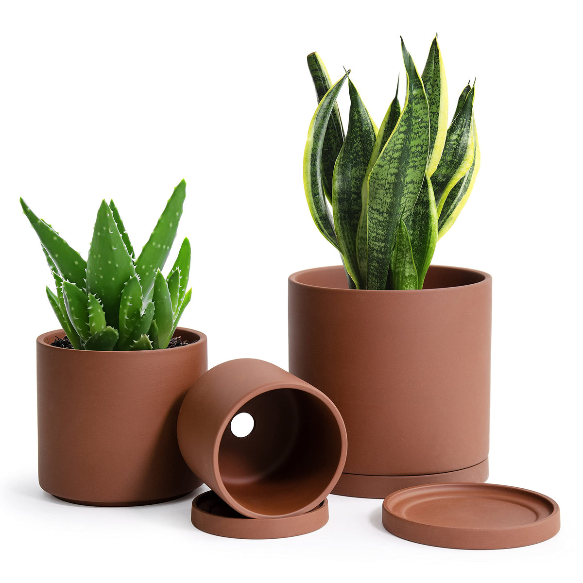 D'Vine Dev Rust Terracotta Pots For Plants, 4.2 Inch 5.3 Inch 6.5 Inch, Succulent Planter Pot With Drainage And Saucer, 40-A-T-0