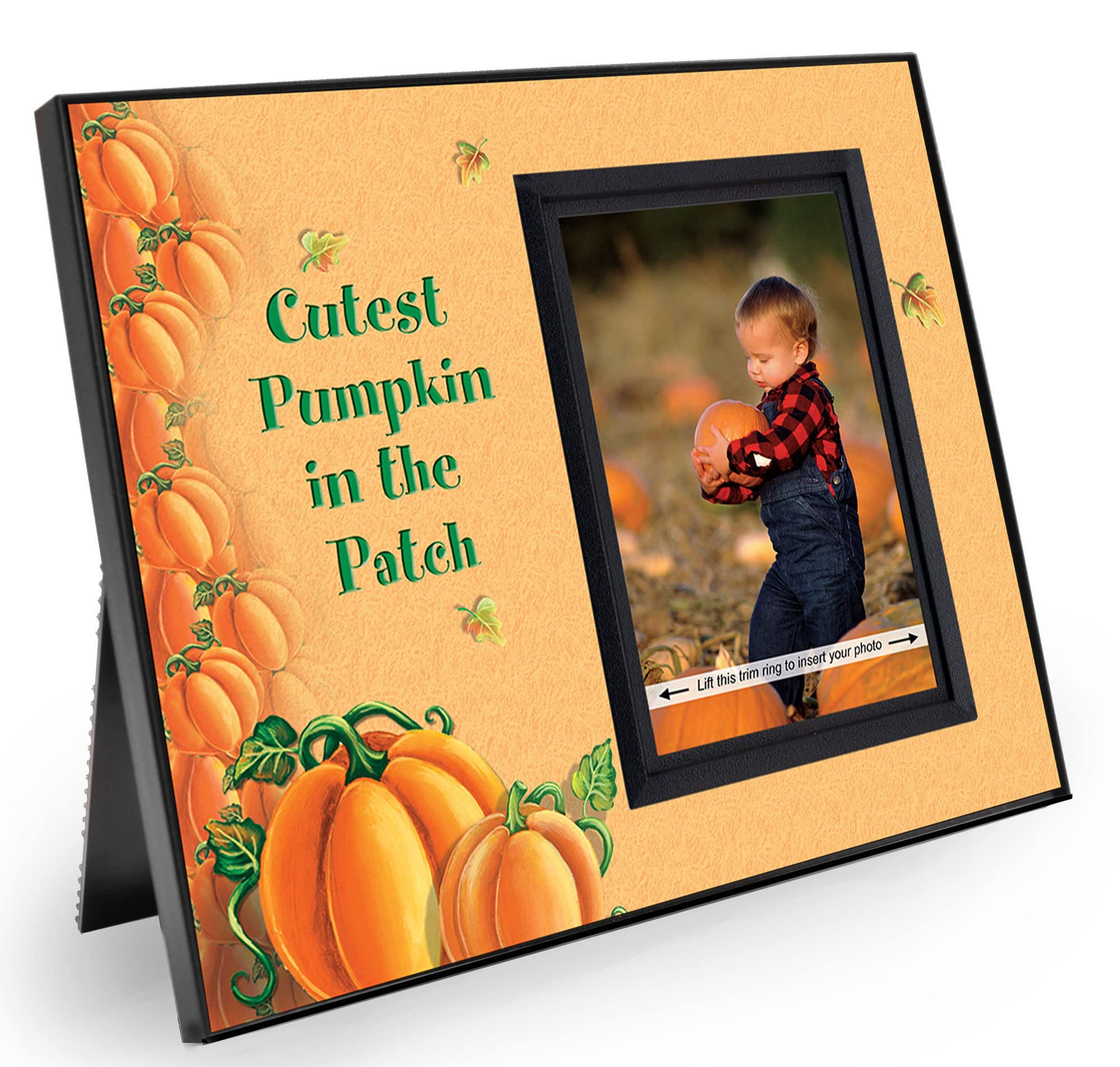 Pumpkin Picture Frame Design by Expressly Yours! | Sweet Fall Photo Frame for Halloween and Pumpkin Patch Photos | Holds 3.5 x 5
