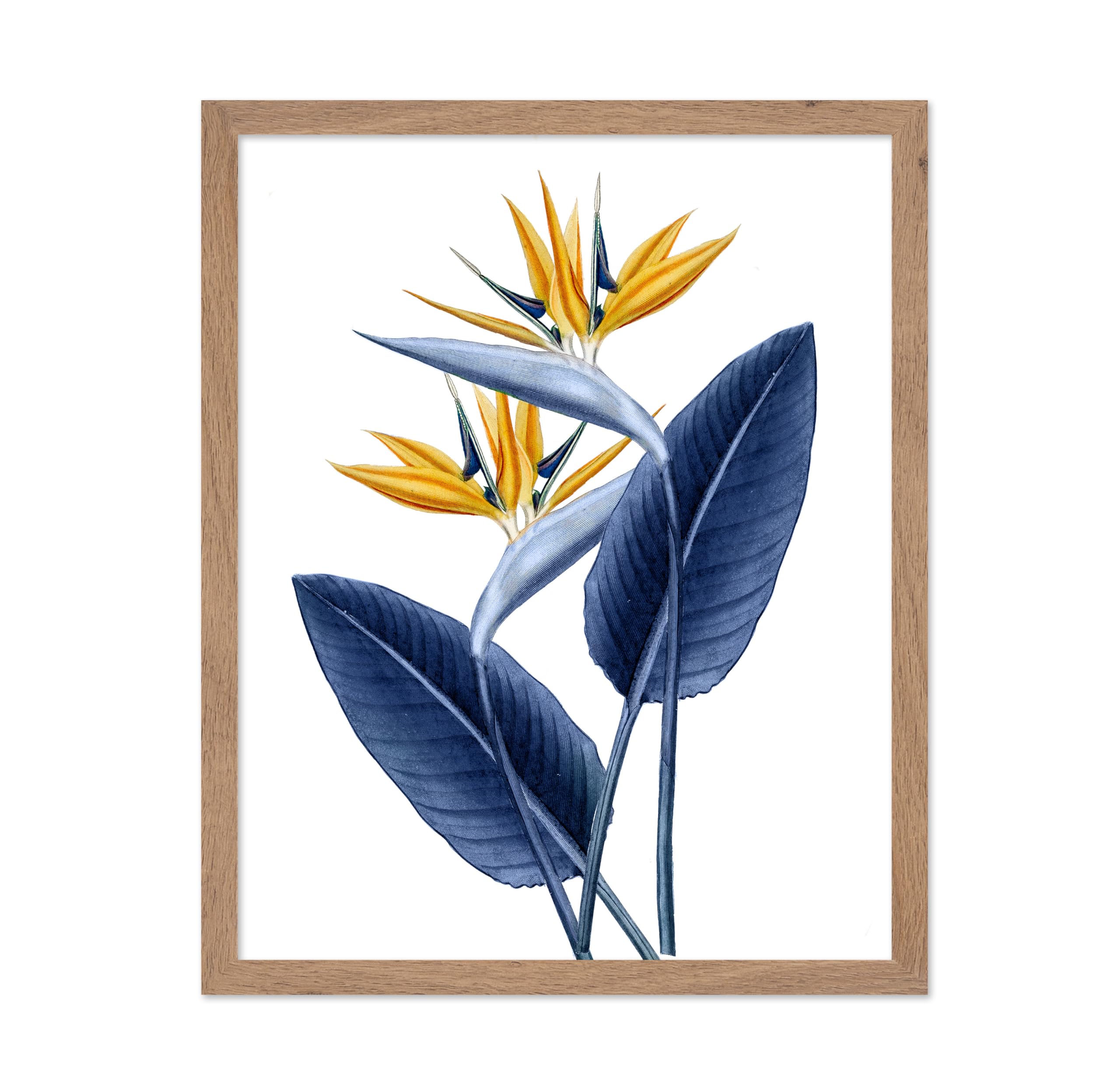 Poster Master Vintage Illustration Poster - Retro Floral Print - Gift for Artist, Friend - Bird of Paradise Flower, Colorful, Wa