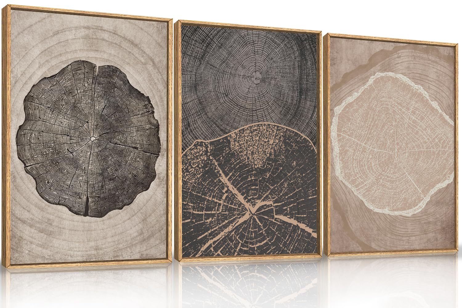 HOURIA Beige Tree Ring Framed Canvas Wall Art Set, Neutral Modern Wood Stump Wall Decor,Vintage Abstract Tree Spiral Art Print,N