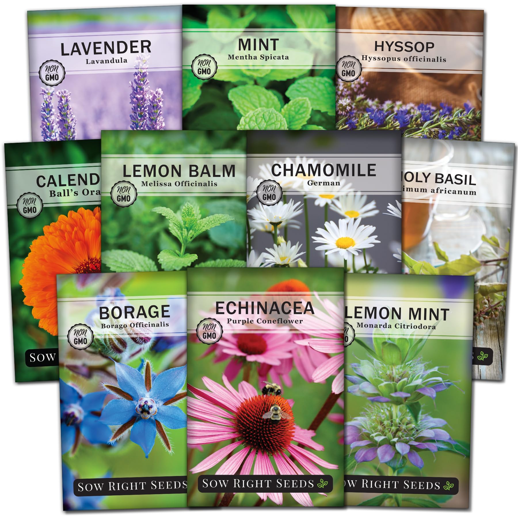 Sow Right Seeds - Large Herbal Tea Garden Seed Collection - Lemon Balm, Primrose, German Chamomile, Lavender, Echinacea, Holy Ba