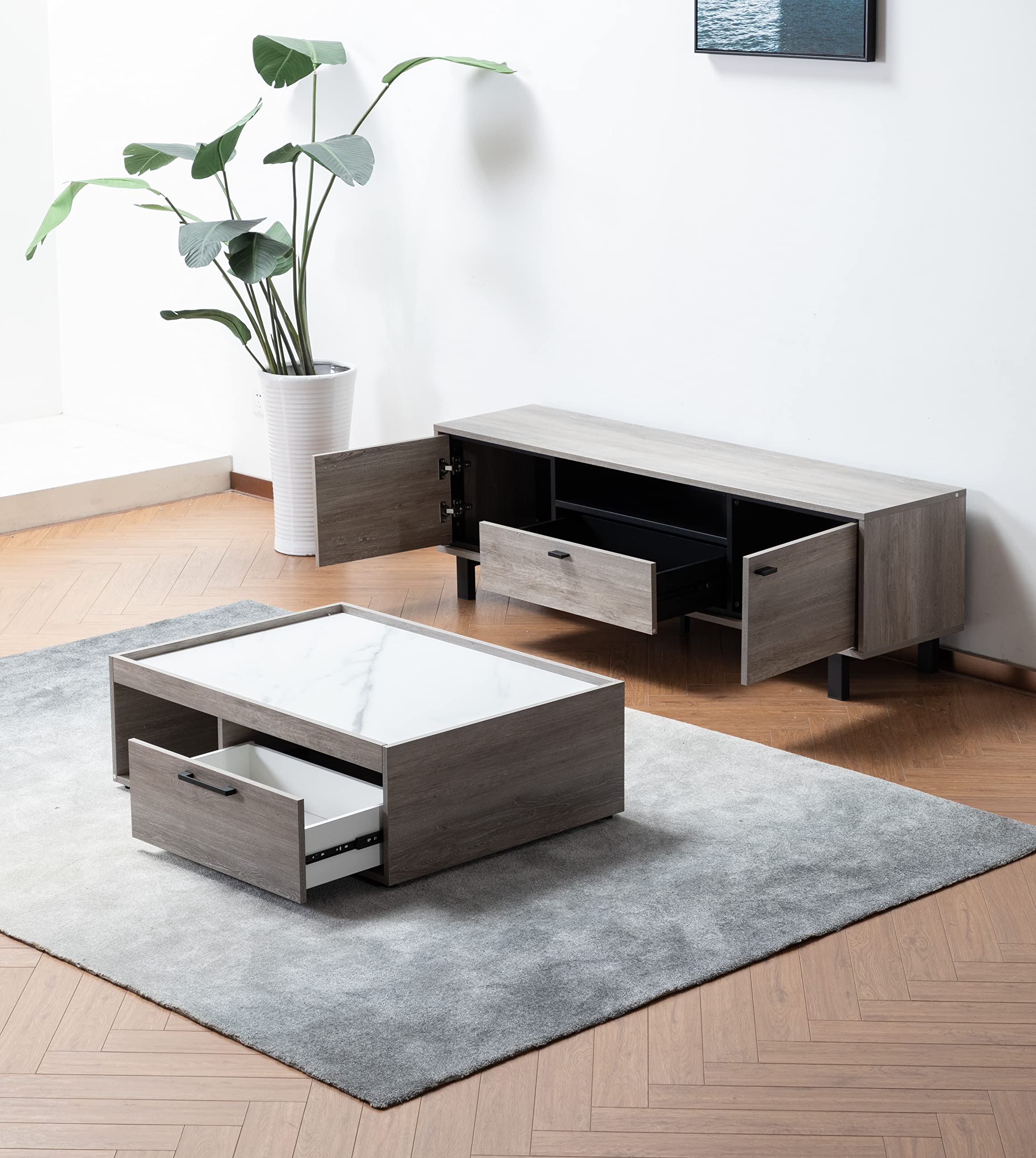 Lilola Home Apollo Gray Oak Finish TV Stand and Coffee Table Set