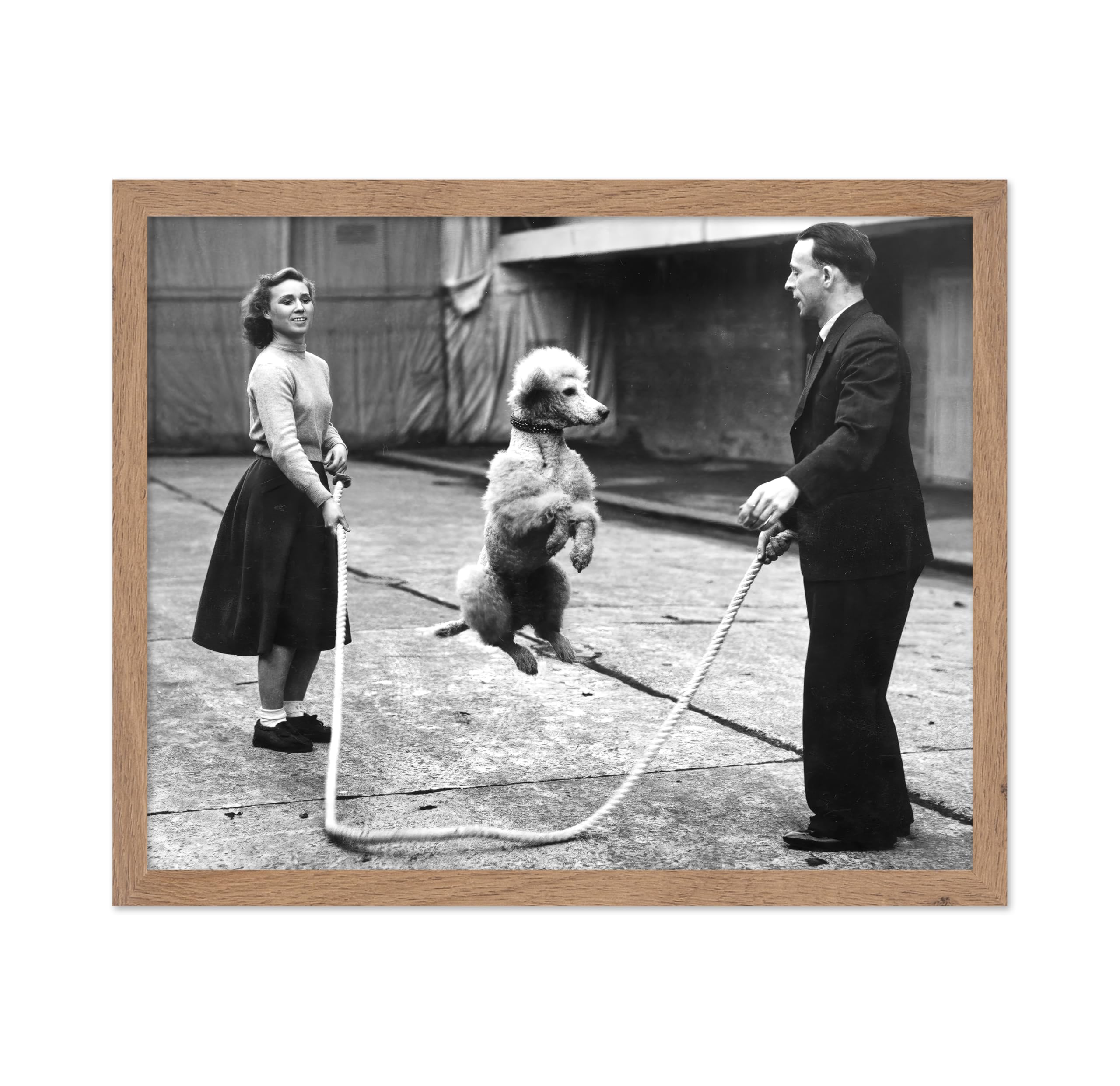 Poster Master Vintage Dog Poster - Retro Poodle Jumping Rope Print - Photography Art - Gift for Dog Owner, Animal Lover, Veterin