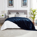Dreamnine Oversized Soft Plush Fleece Throw Blanket 60'' X 80'', Solid Shag Minky Lightweight Fuzzy Flannel Blanket For Bed, Lux