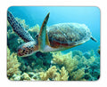 Qj Cmj Green Sea Turtle Mouse Pad, Natural Rubber Mouse Pad, Quality Creative Wrist-Protected Wristbands Personalized Desk, Mous