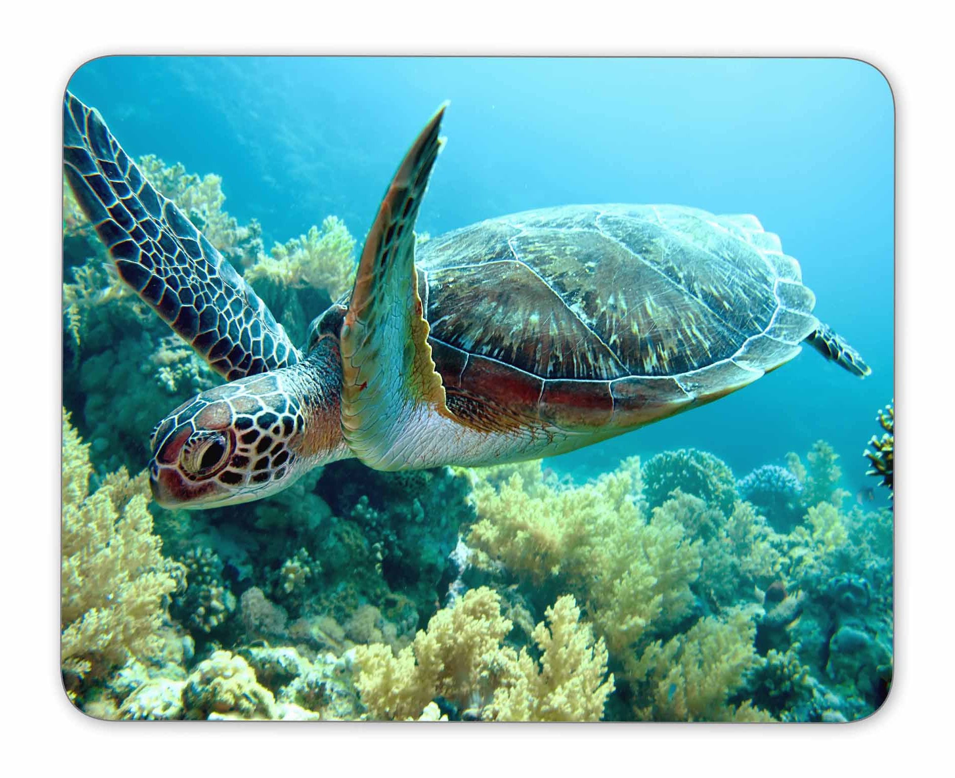 Qj Cmj Green Sea Turtle Mouse Pad, Natural Rubber Mouse Pad, Quality Creative Wrist-Protected Wristbands Personalized Desk, Mous