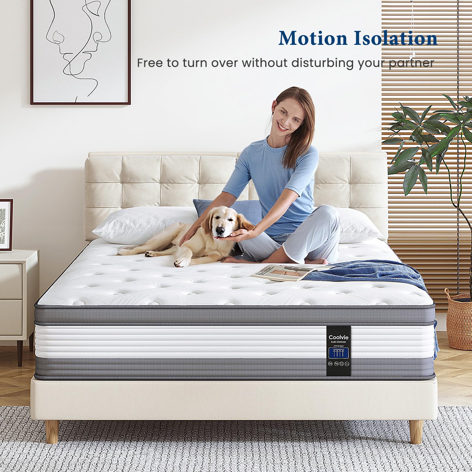 Coolvie Queen Hybrid Mattress 12 Inch Memory Foam Pocket Springs Grey CMP22A4G01