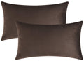 Mixhug Set Of 2 Cozy Velvet Rectangle Decorative Throw Pillow Covers For Couch And Bed, Coffee Brown, 12 X 20 Inches
