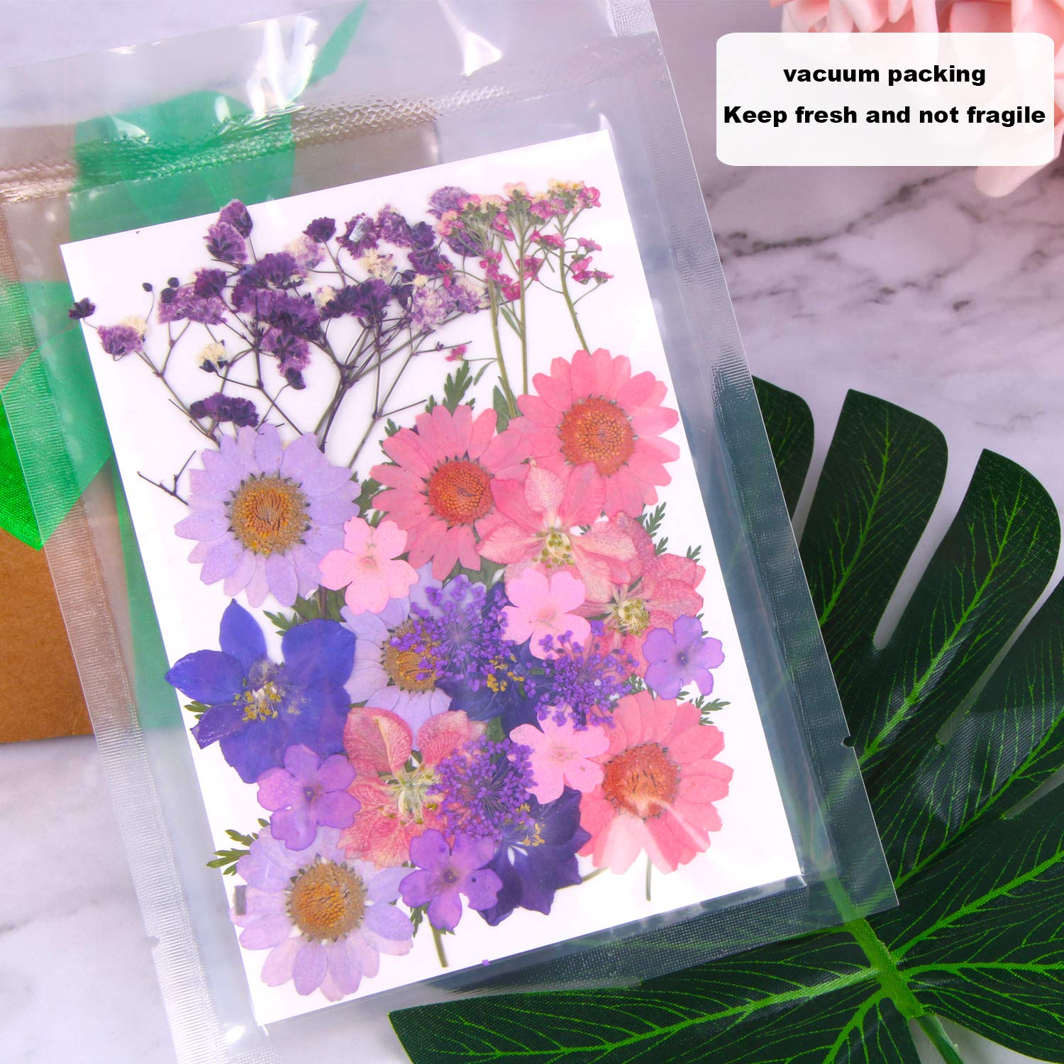 Augshy Dried Pressed Flowers For Resin, Natural Purple Dried Pressed Flowers For Crafts Diy Jewelry Molds, Art Scrapbooking, Can