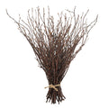 Uieke 50PCS Birch Twigs - 17 Inch Natural Dried Plants Decorative Birch Branches for DIY Crafts, Birch Sticks for Vases Wedding 