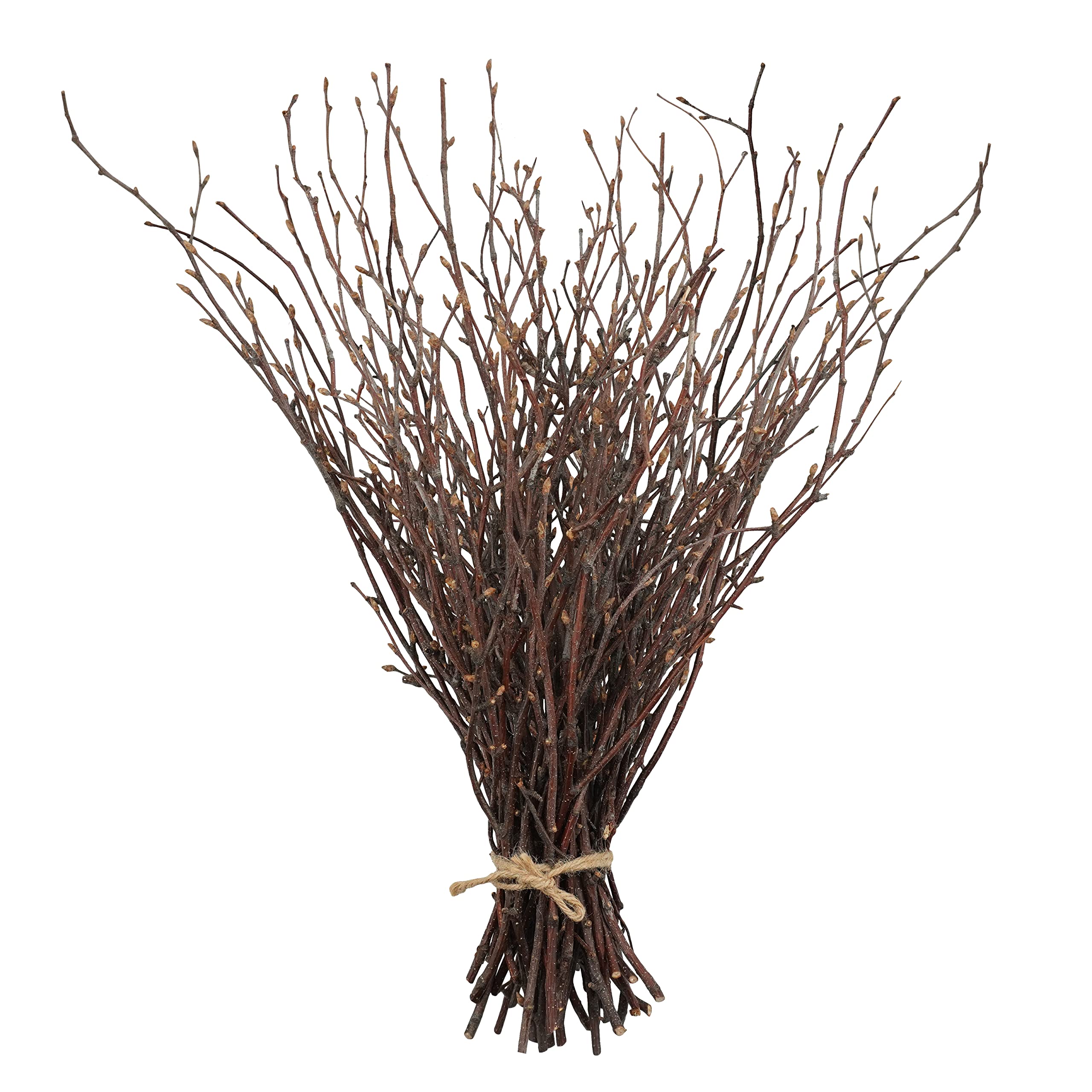 Uieke 50PCS Birch Twigs - 17 Inch Natural Dried Plants Decorative Birch Branches for DIY Crafts, Birch Sticks for Vases Wedding 