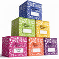 LemonRoad 6 Fabric Cube Storage Bin 11 Classroom Bin, Rainbow, Label