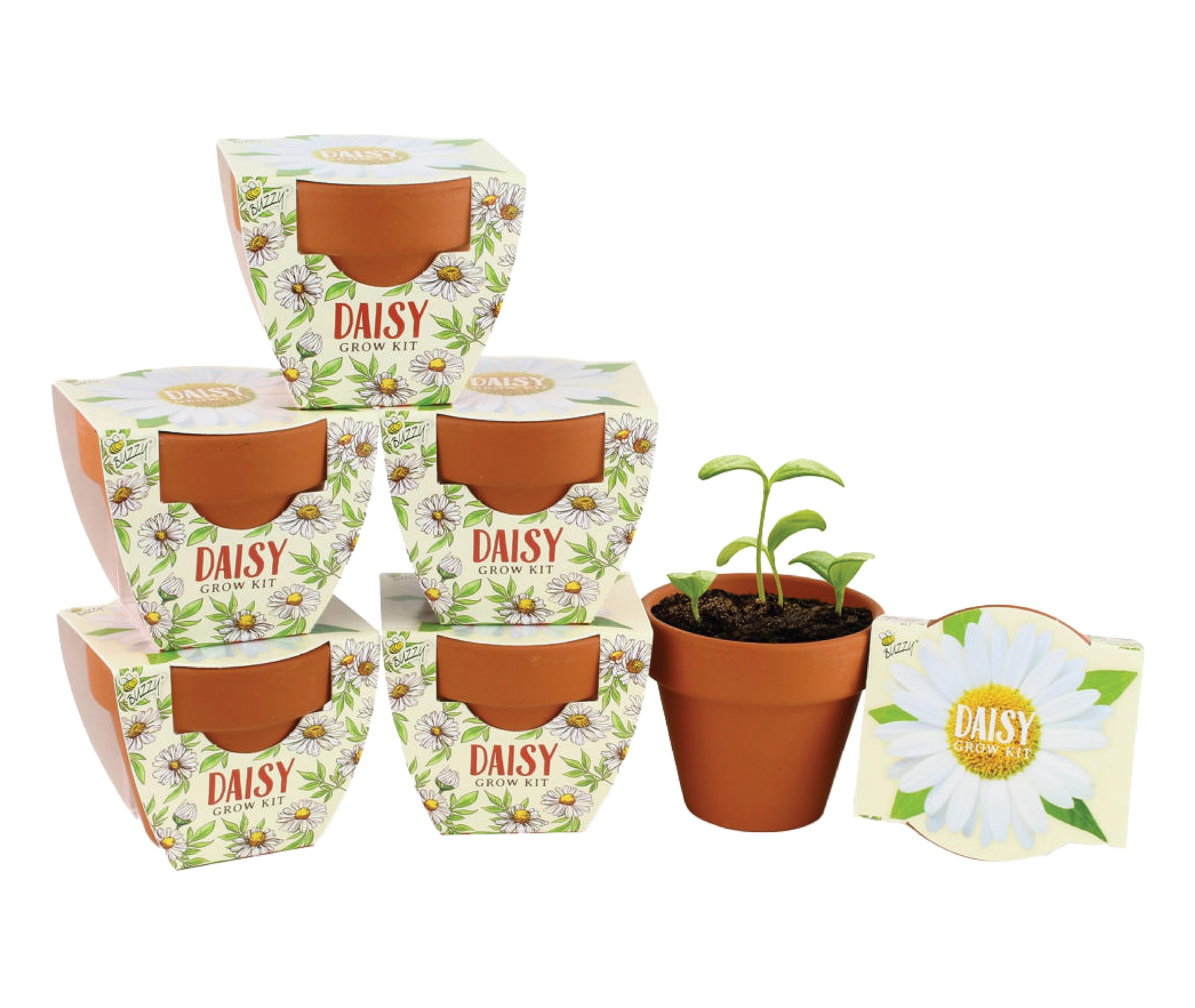 Buzzy Terracotta Mini Grow Pots  Mini Daisy 6-Pack  Daydream Collection  Best Gardening Gifts, Favors, Weddings, Parties, Events