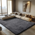 Shag Area Rug for Bedroom 5x8,Deep Grey Fluffy Area Rugs for Living Room,Soft Fuzzy Rug Non-Shedding Indoor Plush Carpet for Kid