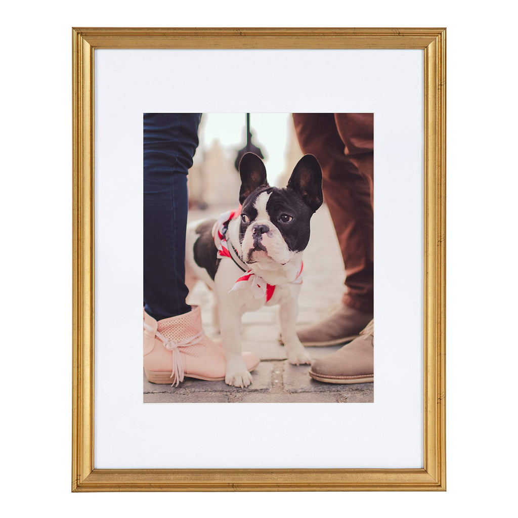 Kate And Laurel Adlynn Wall Picture Frame Set, 11'' X 14'' Matted To 8'' X 10'', Gold, Set Of 4
