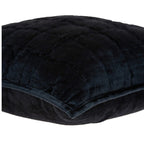 HomeRoots Decor 20' x 7' x 20' Transitional Black Solid Quilted Pillow Cover with Down Insert