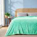Newcosplay Super Soft King Blanket Aqua Premium Silky Flannel Fleece Leaves Pattern Lightweight Bed Blanket All Season Use (Aqua