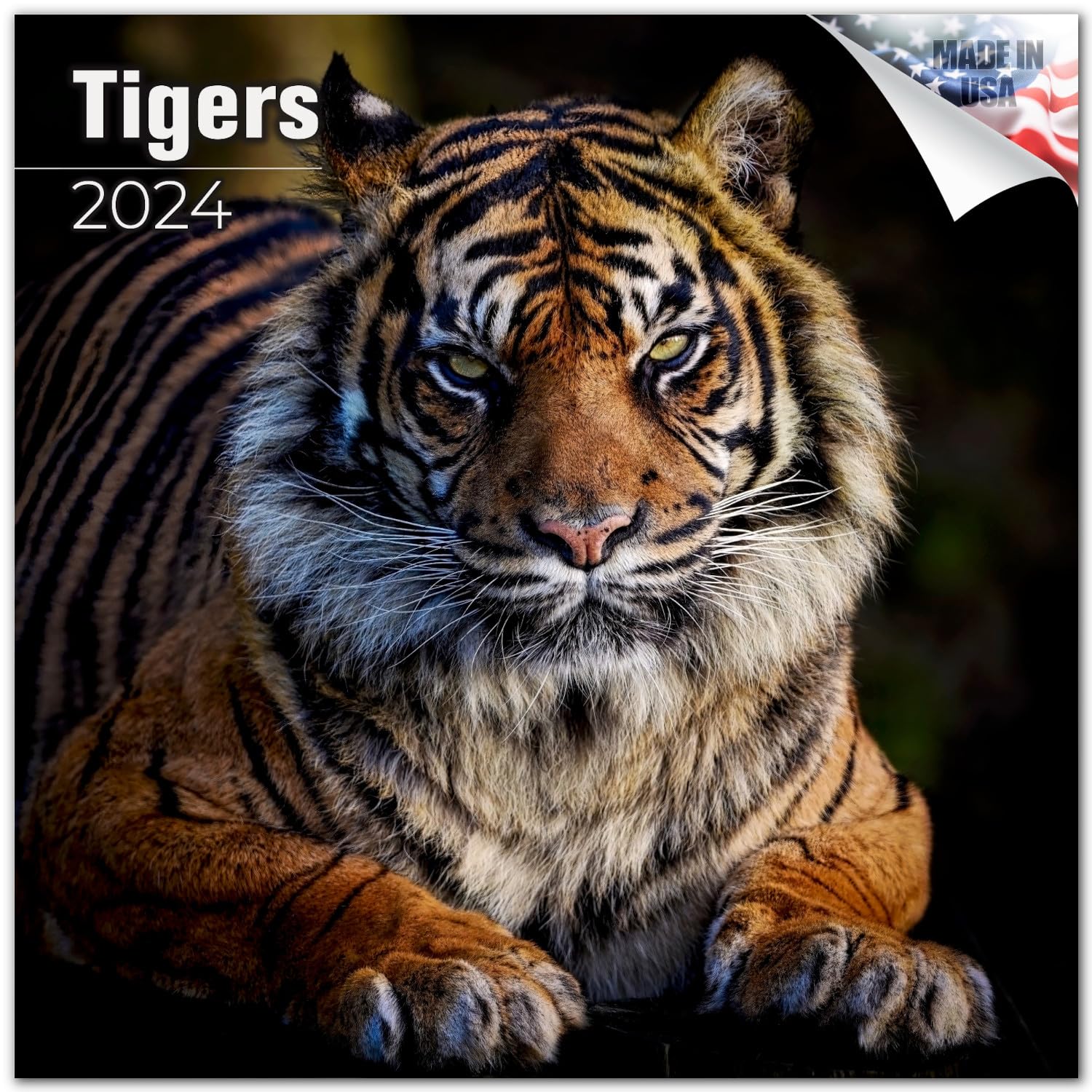 2023 2024 Tigers Calendar - African Wildlife Monthly Wall Calendar - 12 X 24 Open - Thick No-Bleed Paper - Giftable - Academic T