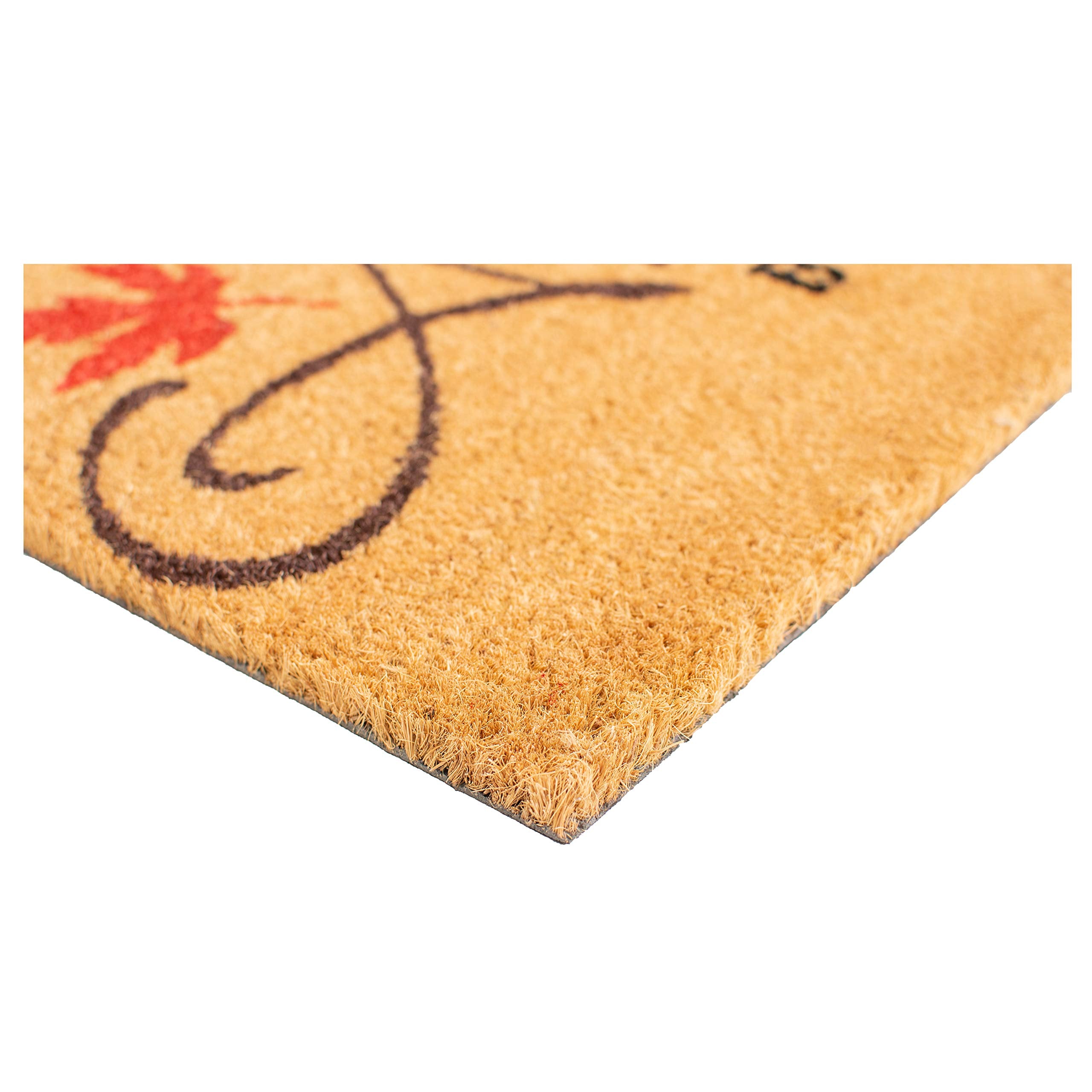 Calloway Mills Az101841729 Blessed Doormat, 17' X 29', Multicolor