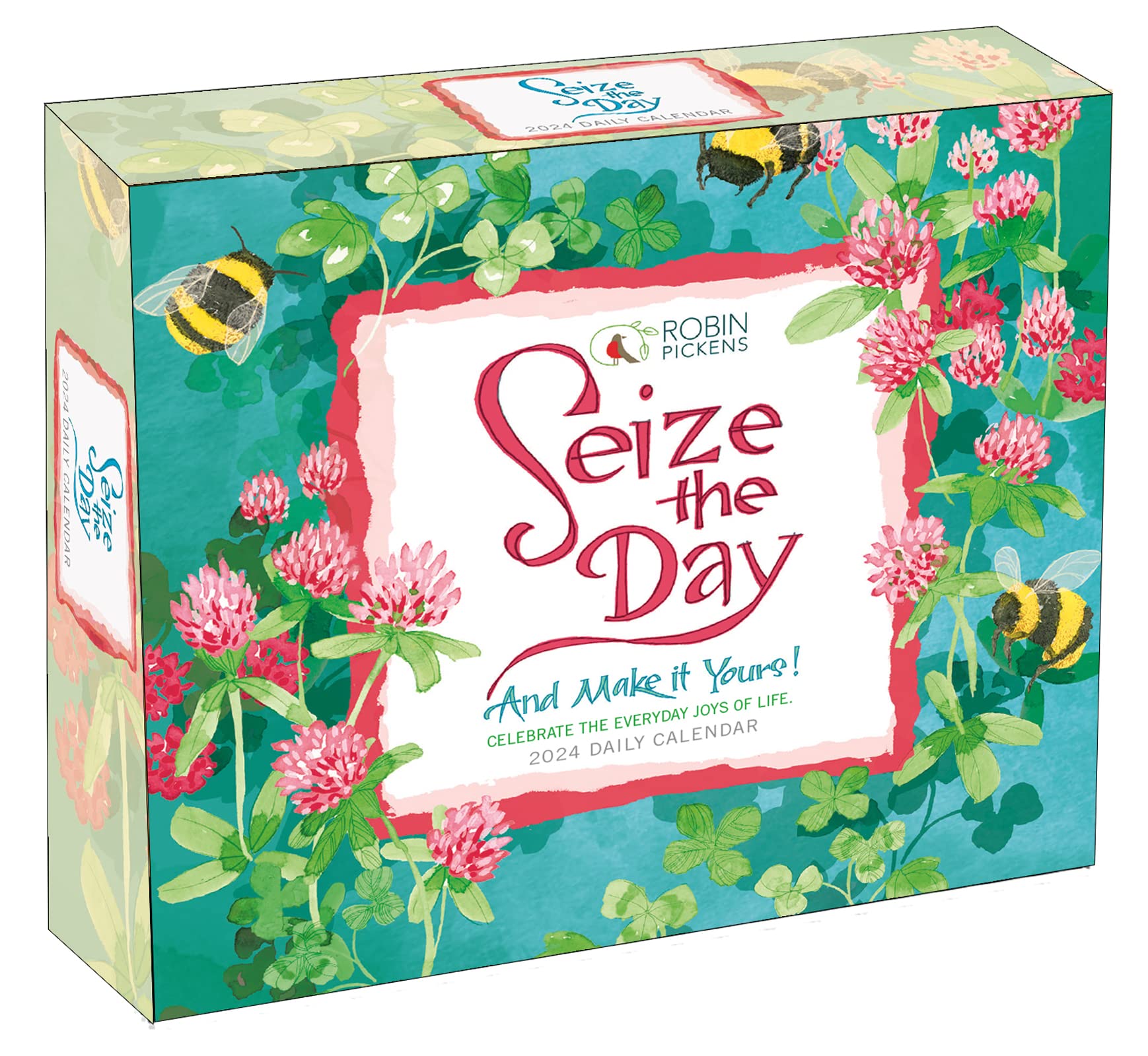 Seize The Day 2024 Boxed Daily Desk Calendar By Robin Pickens