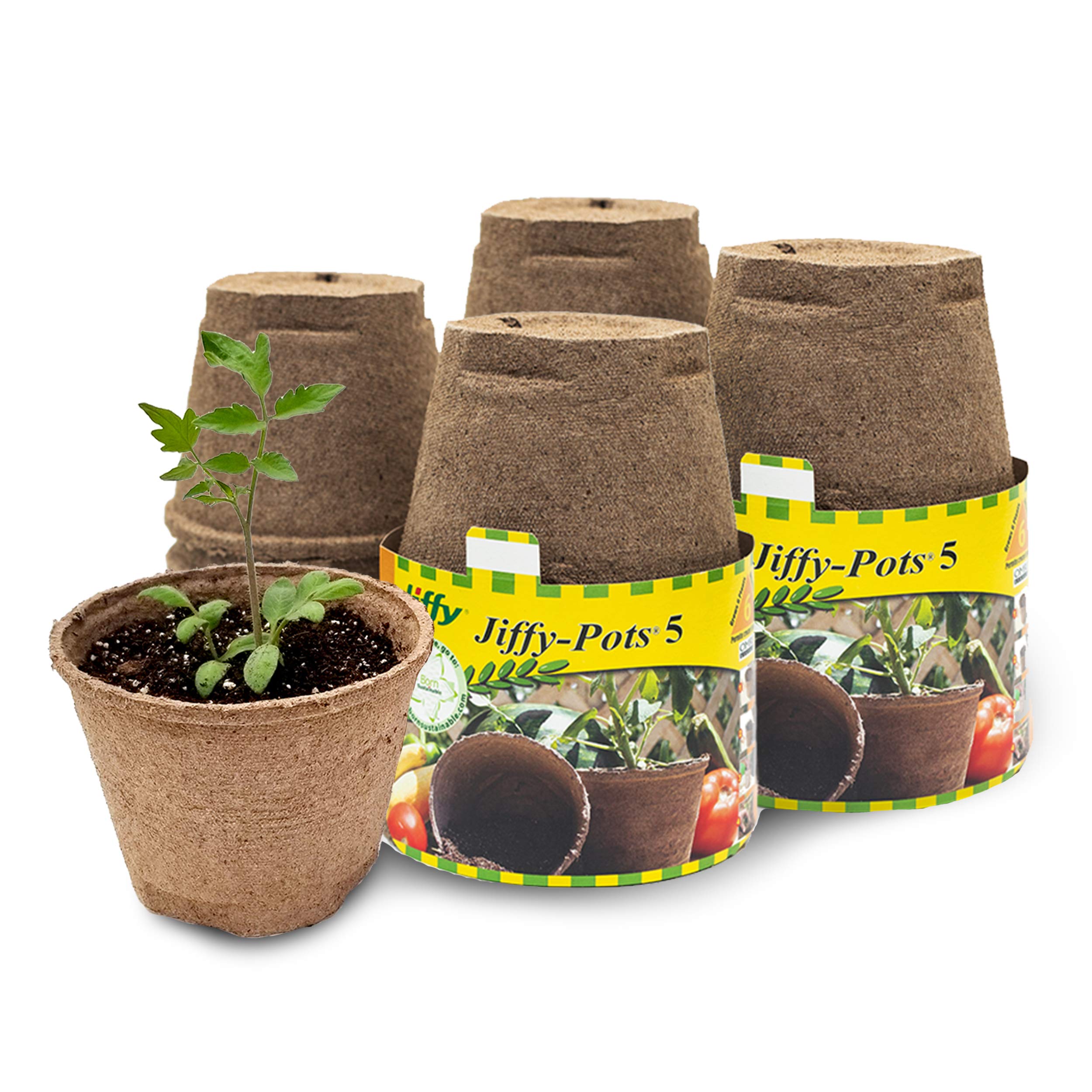 Ferry Morse Jiffy-Pots Organic Seed Starting 5' Biodegradable Peat Pots, 6 Count, 4-Pack