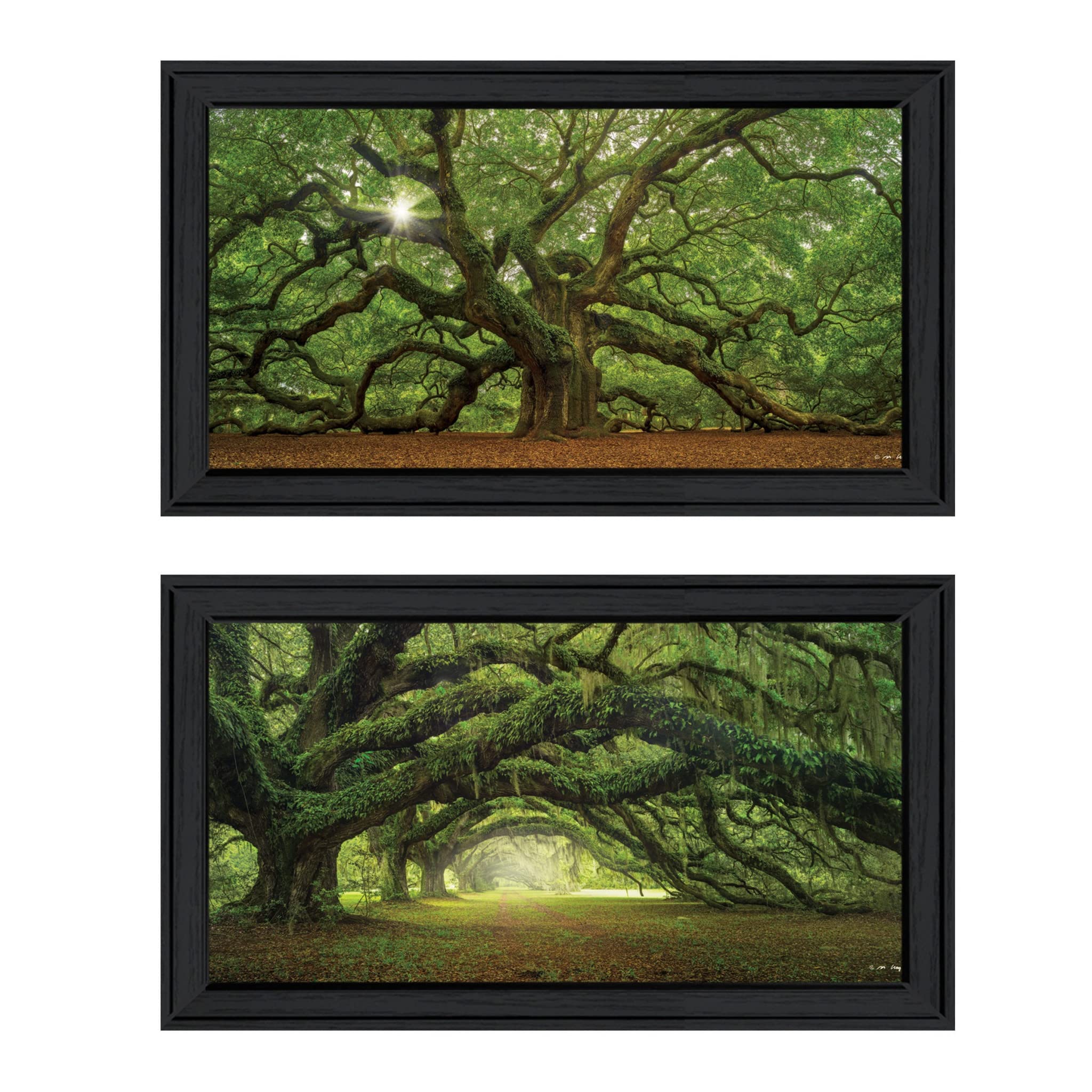 Set Of Two Tree Arbors 2-Piece By Moises Levy Black Frame Black Framed Print Wall Art