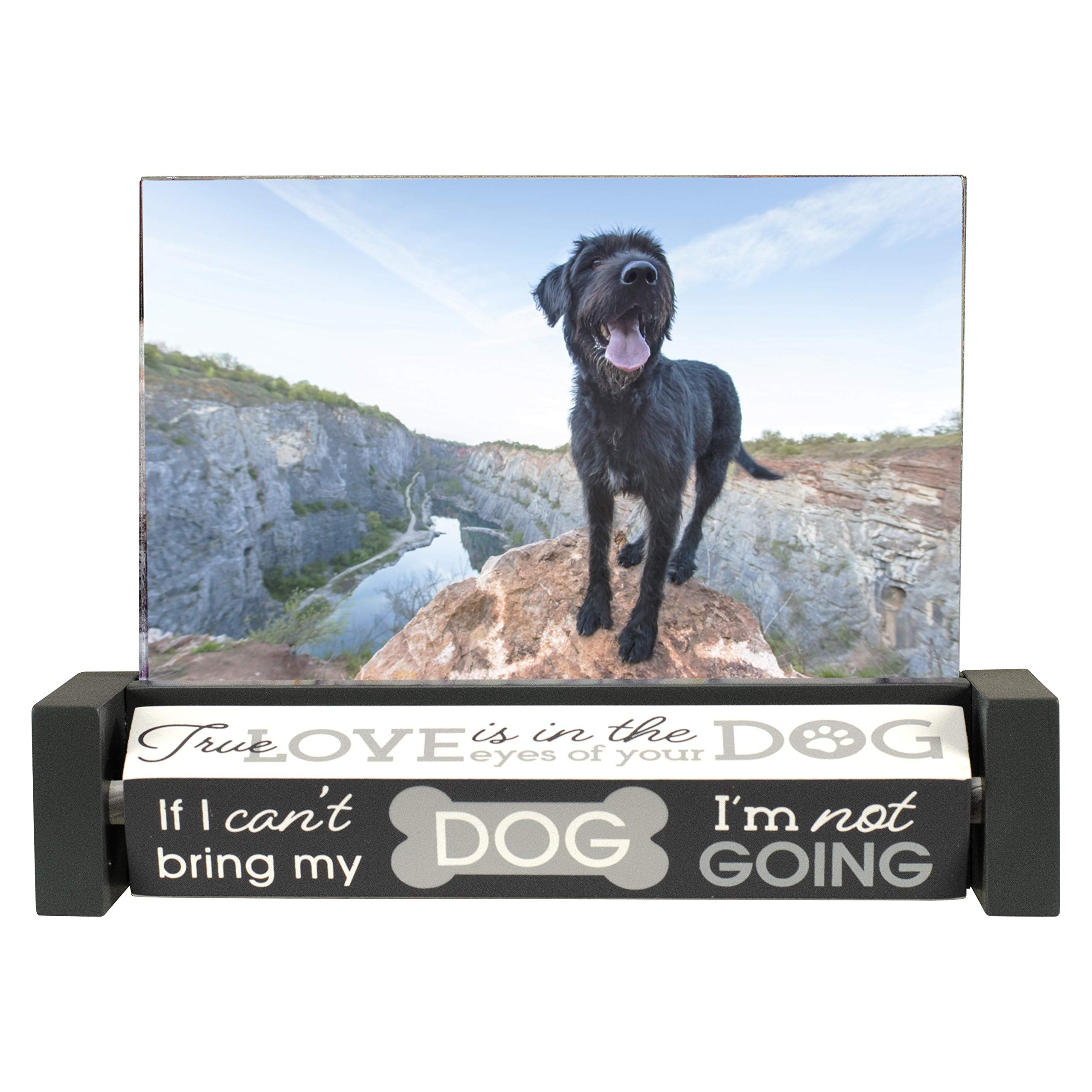 Malden International Designs Dog 4x6 Photo Frame Spin Quotes 4 Titles MDF Wood Black White Gray